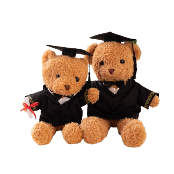 Orsacchiotto di laurea personalizzata con logo: regalo di peluche di congratulazioni