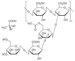 Xanthan gum