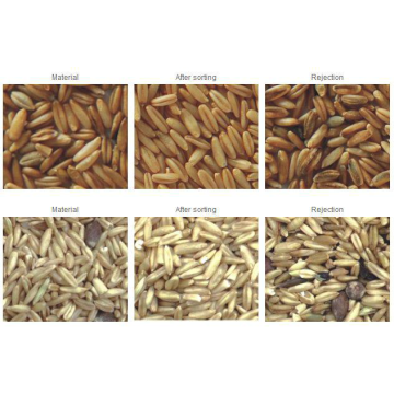 Peralatan Pemilihan Warna Biji Grain