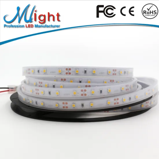 Waterproof ip65 white color smd 2835 60led 12V led rope light