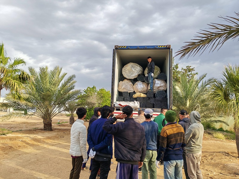 Five Trucks of Goods from Chongqing Qingcheng Agriculture Arrive in Qatar After More Than a Month-Long Journey; Customer Satisfied Upon Inspection