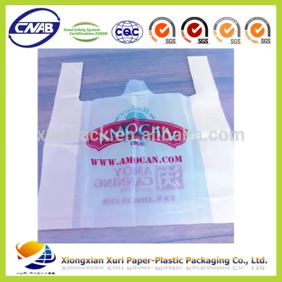 China Plastic Bag Manufacturer Foldable Biodegradable Plastic Designer Shopping Bag