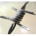 Galvanized Concertina Barbed Wire
