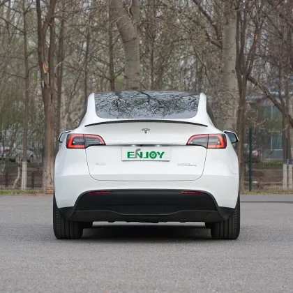 2023 Tesla Model Y: Large Space Electric SUV in China