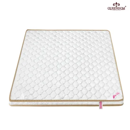 Coir Coconut Fiber Sleepwell King Mattress Bedroom Furniture