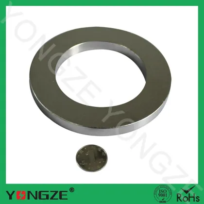 Subwoofer magnet