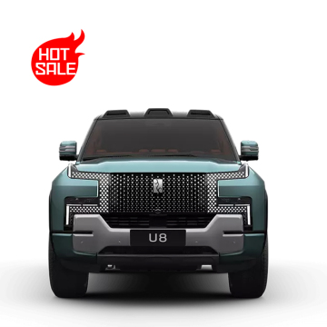 2024 Direct Sales Luxury SUV U8 Deluxe Edition 2.0T Petrol Car
