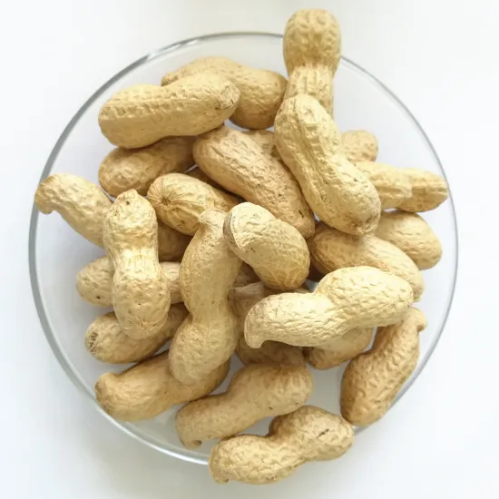 high quality peanut in shell for sale