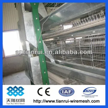Egg chicken cage for chicken farm