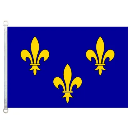 lle-de-France flag 100% polyster 90*150cm