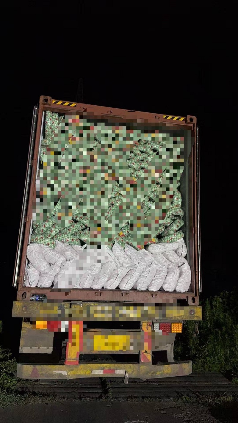 Four Containers Ready to Ship! Rislife Sets New Record, Accelerating Global Market Expansion