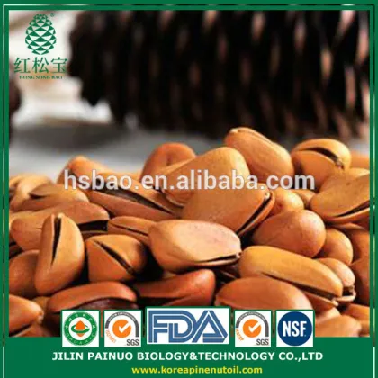 Factory Direct New Arrival Top Quality Cedar Open Pine Nuts in Shell