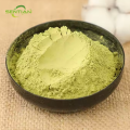 High Quality Cucumber Extract Powder