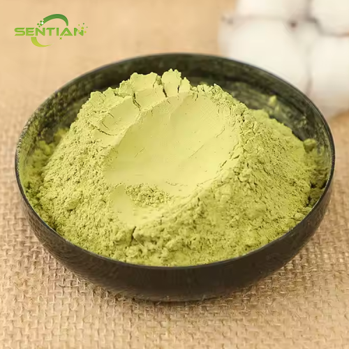 High Quality Cucumber Extract Powder