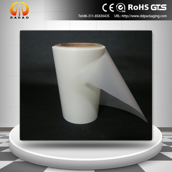Pet Anti UV filmi (21) PET anti UV film (21)