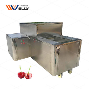 Mesin penyingkiran angiomas mini ceri komersial - Mesin Pitting Cherry Industri untuk Dijual