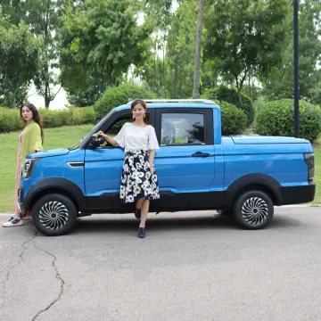China Electric Car 2023 New Rear Drive Pickup Double Row Electric Pickup