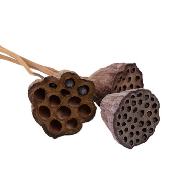 Dried Flowers Wholesale for Bedroom Decoration