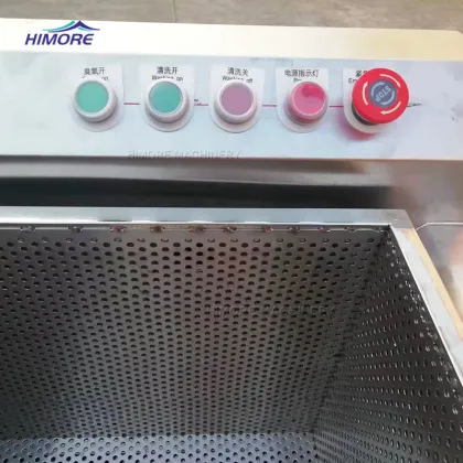 HIMORE Fruit Cleaning Machine Air Bubble Vegetable Washing Machine