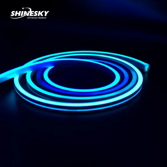 Magic LED Strip - DMX512 SPI RGB/RGBW 1220 LED Neon Light DC24V IP67 Outdoor Building Lighting Flex Silicone Neon Strip