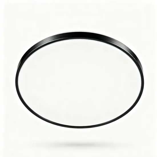 Minimalist LED Ceiling Light