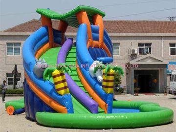 0.55mm Thickness Inflatable Pool Slide / Ce Approved Blower / Durable Vinyl Carriage Bag