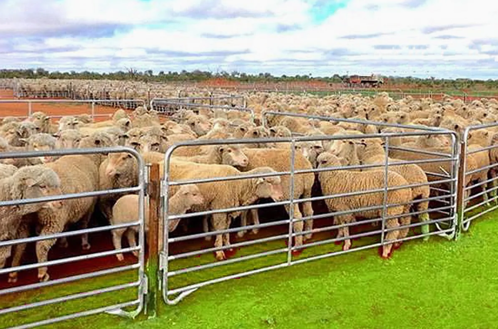 farm fence4