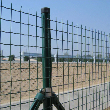 2''x3'' Green PVC Coated Welded Wire Mesh Fence