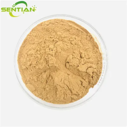 Premium Citrus Fruit Extract