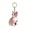 Gerçekçi Kedi Akrilik Anahtarlık Seti 4'lü Paket