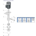 Bomba submersível química leve CS