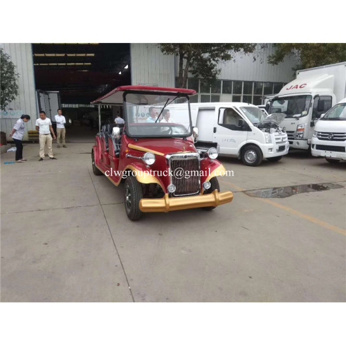 Bus turístico personalizado de 6 asientos / 8/11 asientos