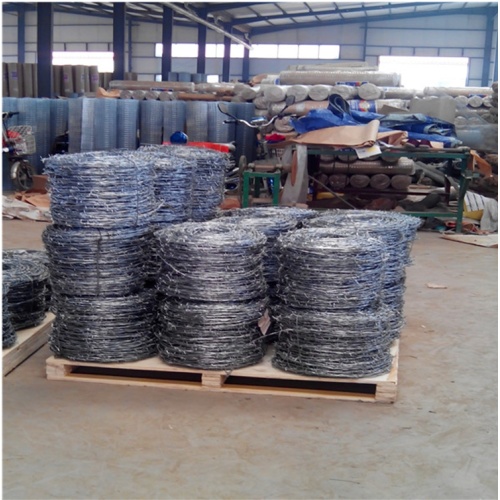 Hot dipped galvanized reverse twist barbed wire factory