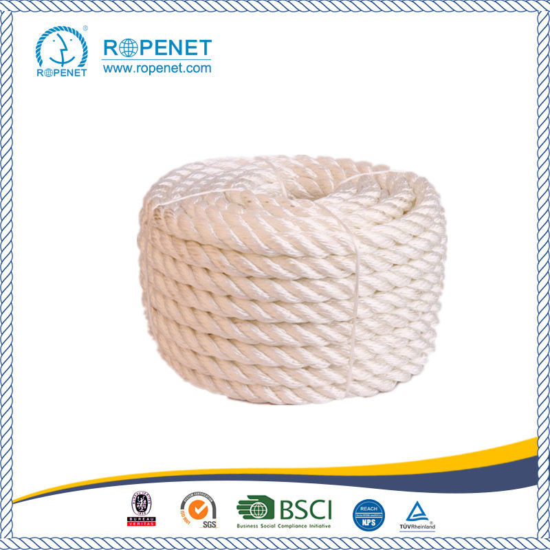 Super Strong Colored PP Rope for OEM Customized