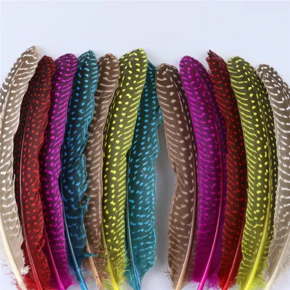 Factory Wholesale: Dyed and Natural Pheasant & Guinea Fowl Feathers - Ideal for Handicrafts Making