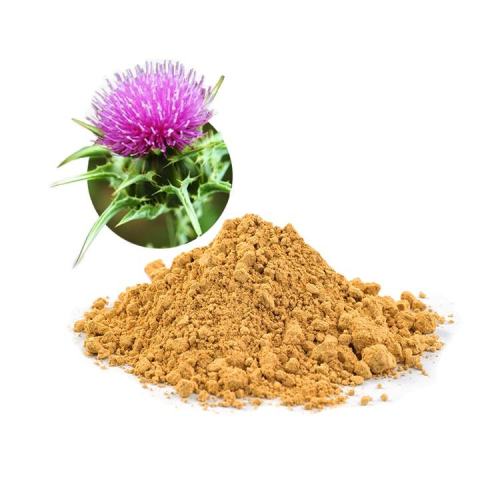 Saccharomyces Cerevisiae Dextran Premium Grade Milk Thistle Extract for Liver Protection Factory