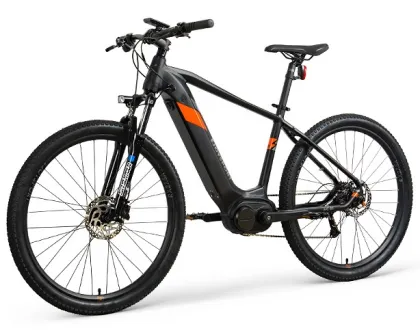 Customized Focus Electric Bikes