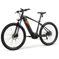 Alquiler de bicicletas eléctricas de montaña personalizada