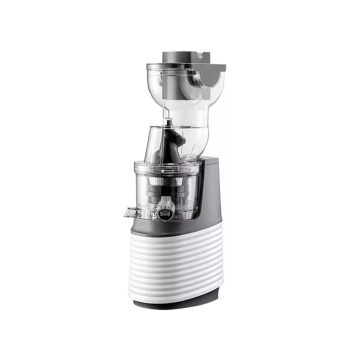 2026 New Multi-Purpose Home Hotel Use Fruit Slow Juicer