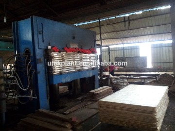 compressed wood pallet