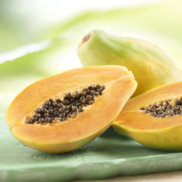 Edible pawpaw with many health benefits and nutrition