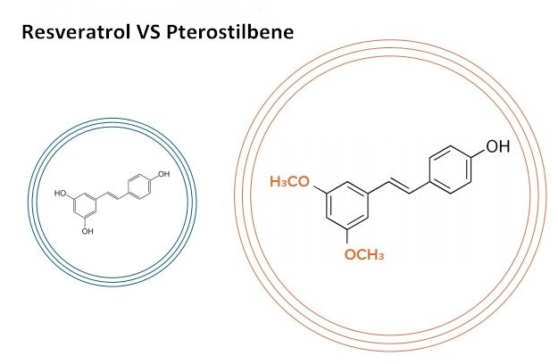 Pterostilbene powder