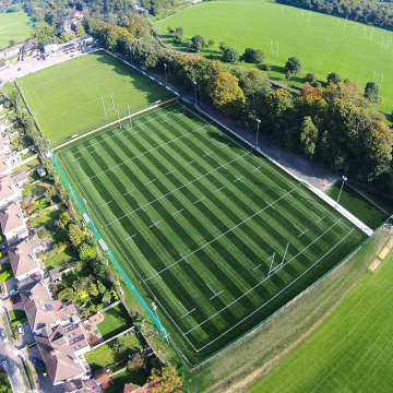 Excellence Rugby Field Artificial Grass