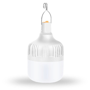 LEDER 48W Waterproof Light Bulb