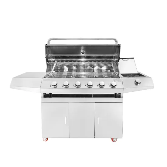 China Portable Gas Outdoor Kitchen Barbecue Grill