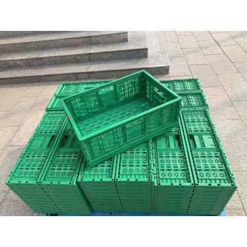 Plastic Foldable Box Agriculture plastic box