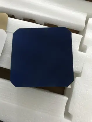 Sunpower Maxeon C60 Solar Cell