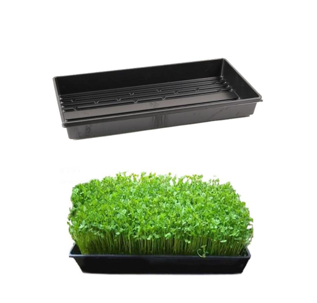 Hydroponics Seedling Germination Tray Without Holes