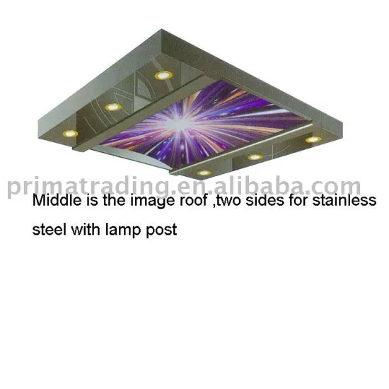 Elevator Ceiling PSM-458