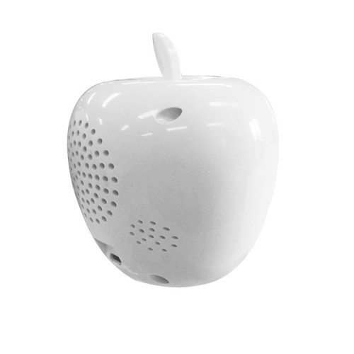 Mini Fisheye HD Wireless CCTV Camera with Monitor